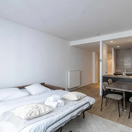 Apartment Beautiful Renovated - 1br4p - 300m From The Beach Cannes